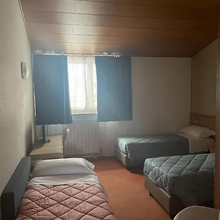 Hotel Tarvis 호텔 *