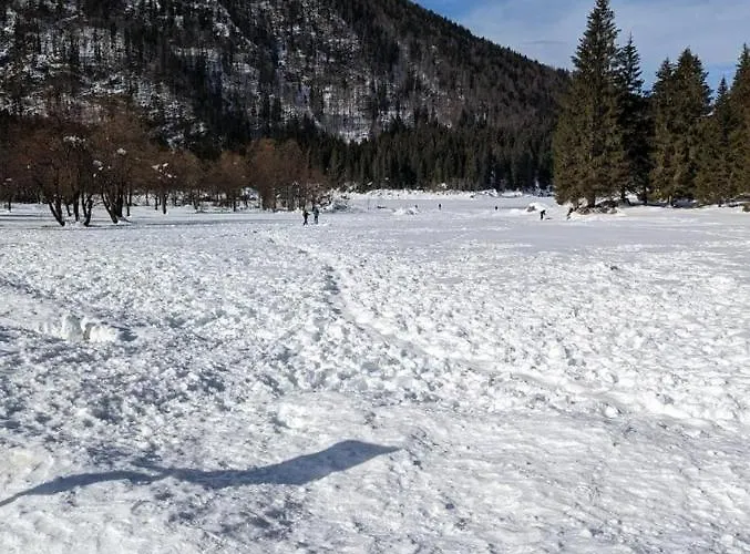 Hotel Tarvis Hotel Tarvisio